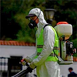 Fumigaciones en buenos aires